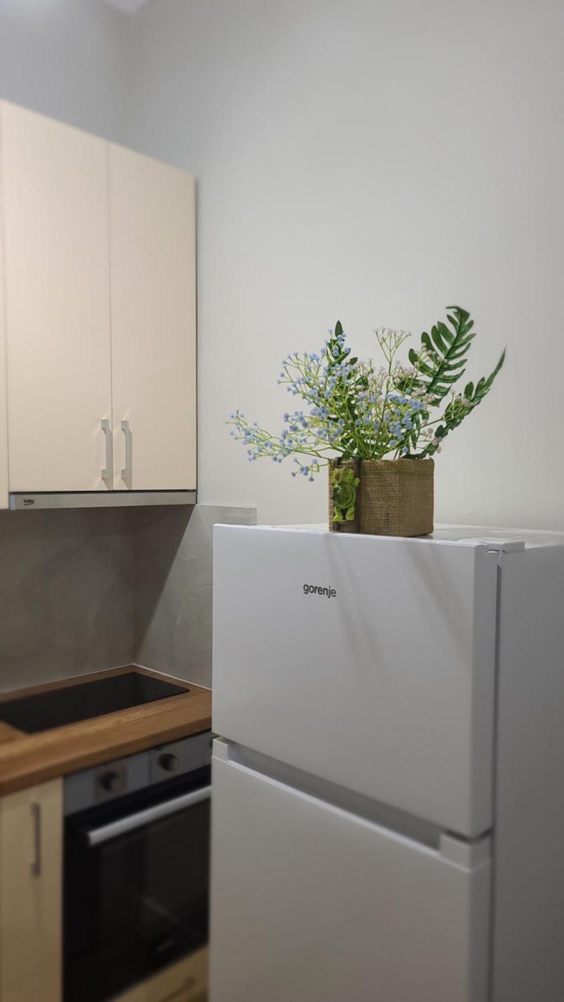 Home Inn Apartaments Tirana Eksteriør billede